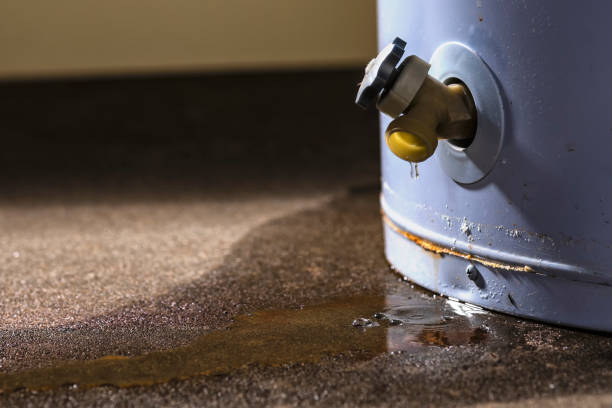 Best Professional water damage repair  in Rtez, CO