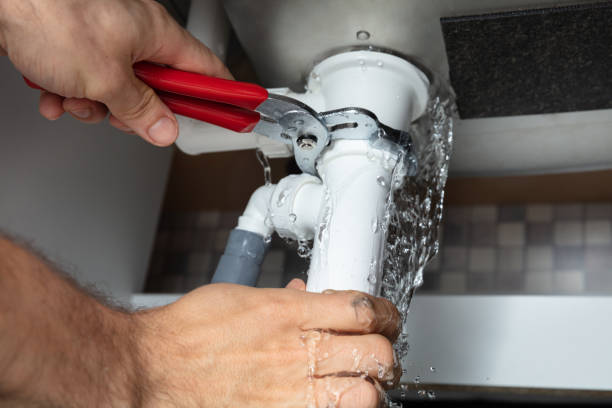 Best Water damage cleanup near me  in Rtez, CO
