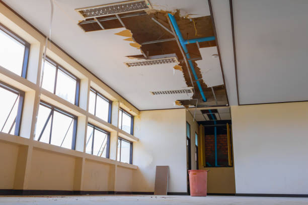 Best Flooded house restoration  in Rtez, CO