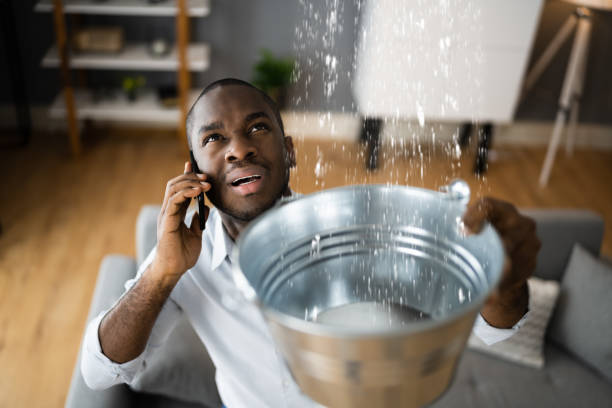 Best Emergency water damage restoration  in Rtez, CO