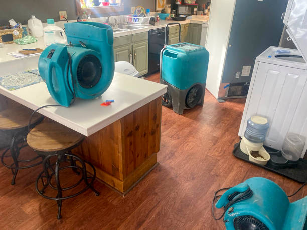 Best Water damage contractors near me  in Rtez, CO