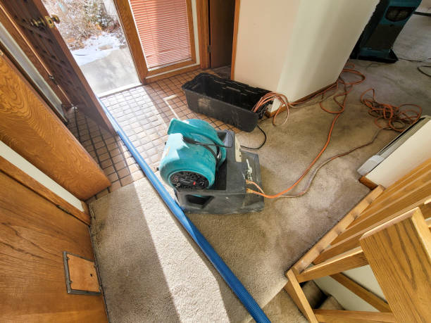 Best Water damage restoration near me  in Rtez, CO