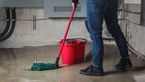 Best Fire Damage Restoration  in Rtez, CO