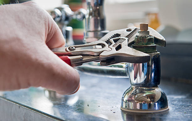 Best Mold removal after water damage  in Rtez, CO