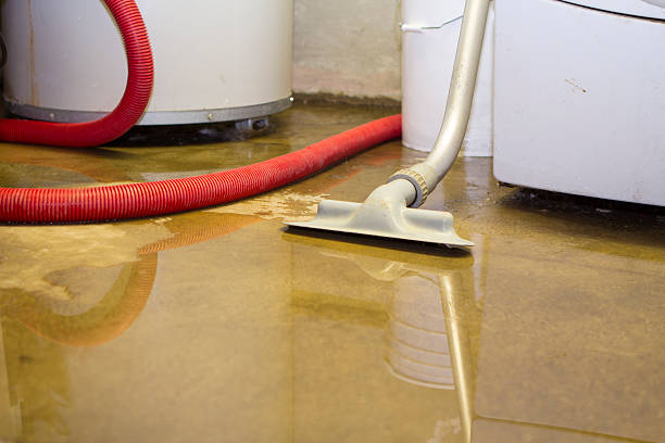 Best Ceiling water damage repair  in Rtez, CO