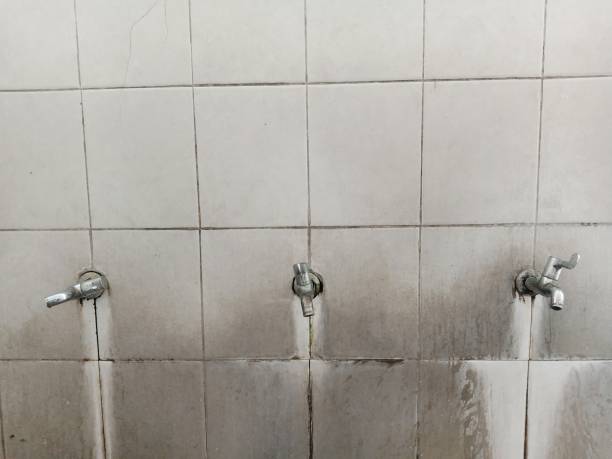 Best Water damage restoration experts  in Rtez, CO