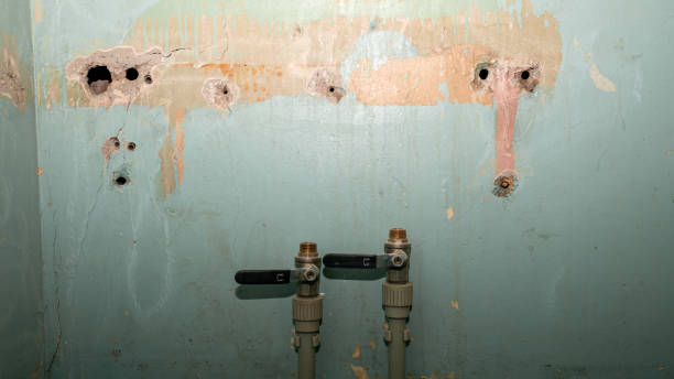 24/7 water damage repair in CO