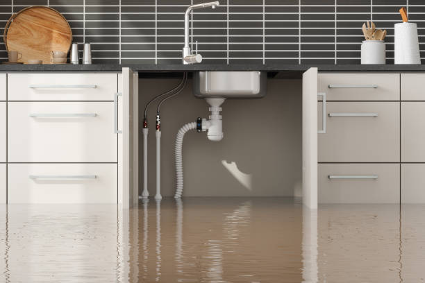 Best Water damage repair service  in Rtez, CO