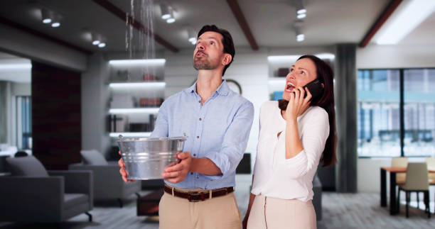 Best Water damage restoration near me  in Rtez, CO