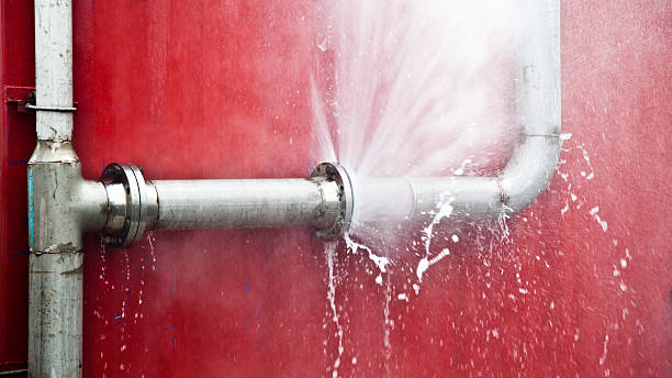 Best Water damage cleanup near me  in Rtez, CO